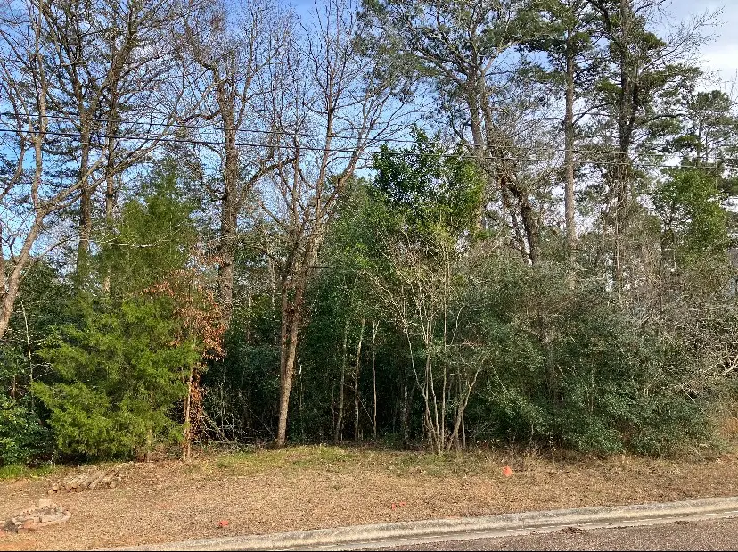 12136 Goliad, Willis, TX 77378 - #2