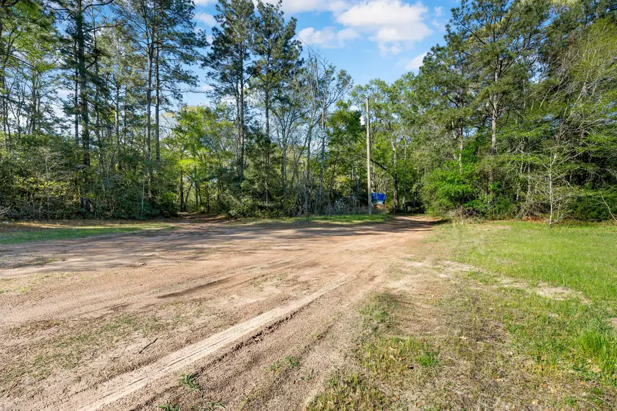 8441 Adcock Acres Drive, Conroe, TX 77303 - #3