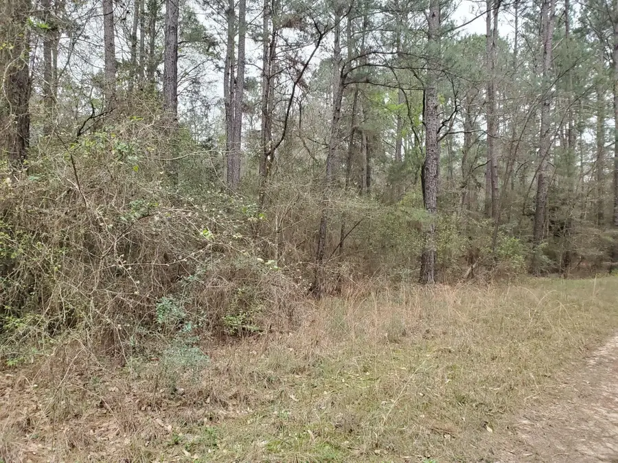 TBD Lot 19 Big Brave Cir, Hempstead, TX 77445 - #2