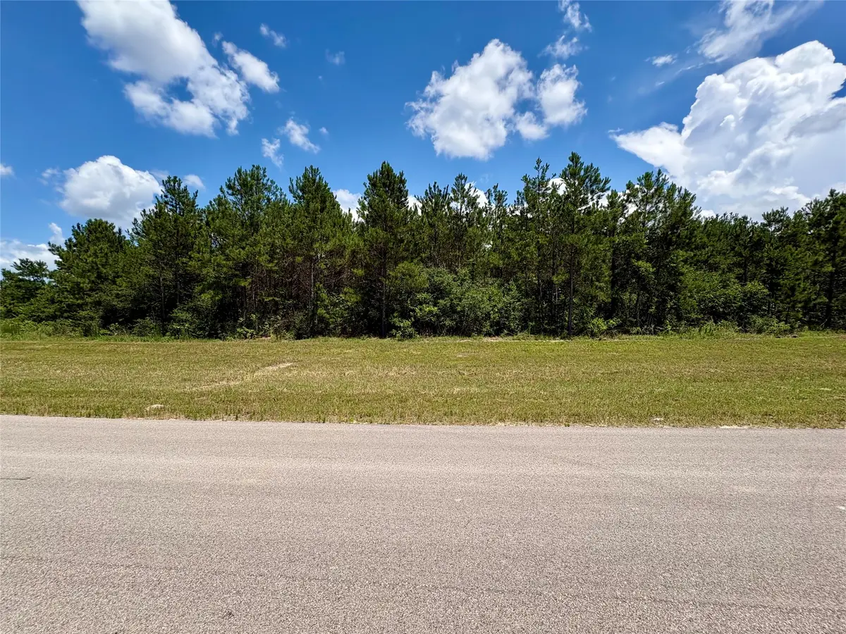 16270 Ridge Oak Road, Willis, TX 77378 - #1
