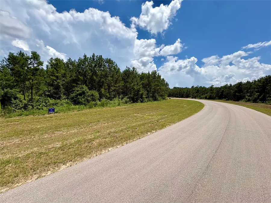 16270 Ridge Oak Road, Willis, TX 77378 - #3