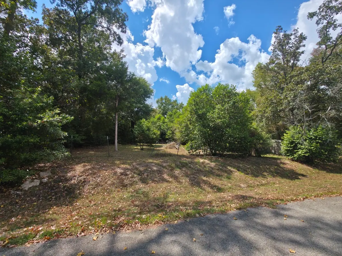 TBD Bonham Ln, Willis, TX 77378 - #1