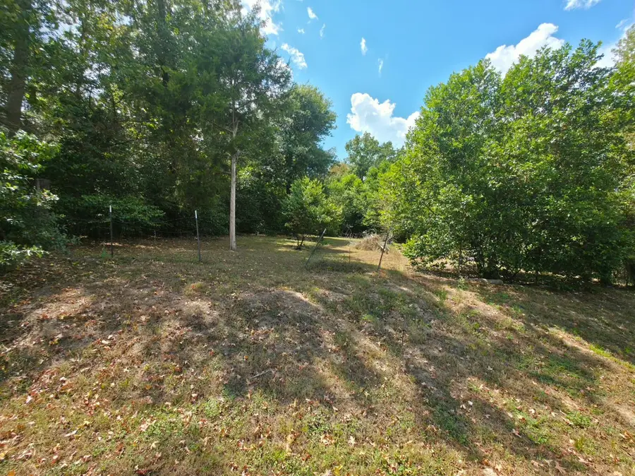 TBD Bonham Ln, Willis, TX 77378 - #2