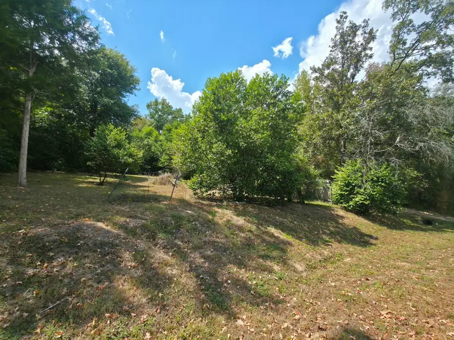 TBD Bonham Ln, Willis, TX 77378 - #3