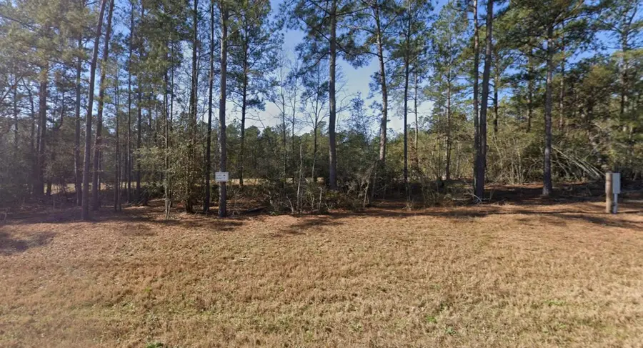 54 Coyote Run, New Waverly, TX 77358 - #2