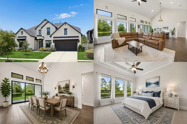 10102 S Goshawk Trail, Conroe, TX 77385