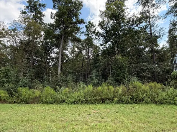 15261 Forest Grove Drive, Willis, TX 77378