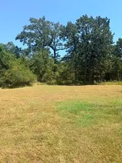 TBD Deep Woods Lane Lane, Livingston, TX 77351 - #1