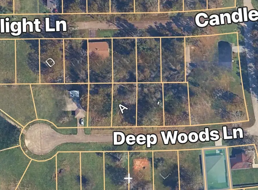 TBD Deep Woods Lane Lane, Livingston, TX 77351 - #2