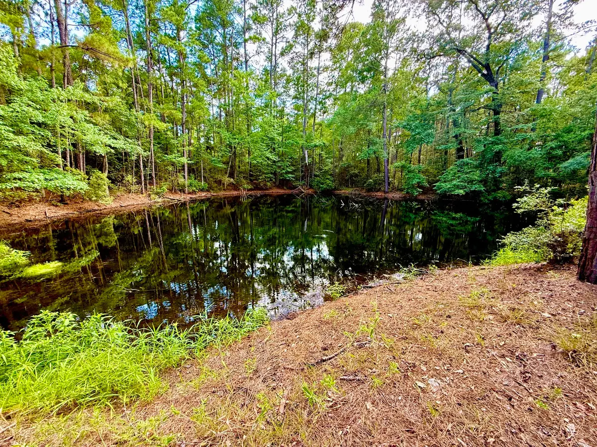 TBD Cr 4740, Kennard, TX 75847 - #1