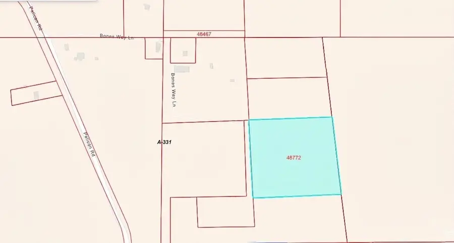 0 Bones Way Ln, Shepherd, TX 77371 - #3