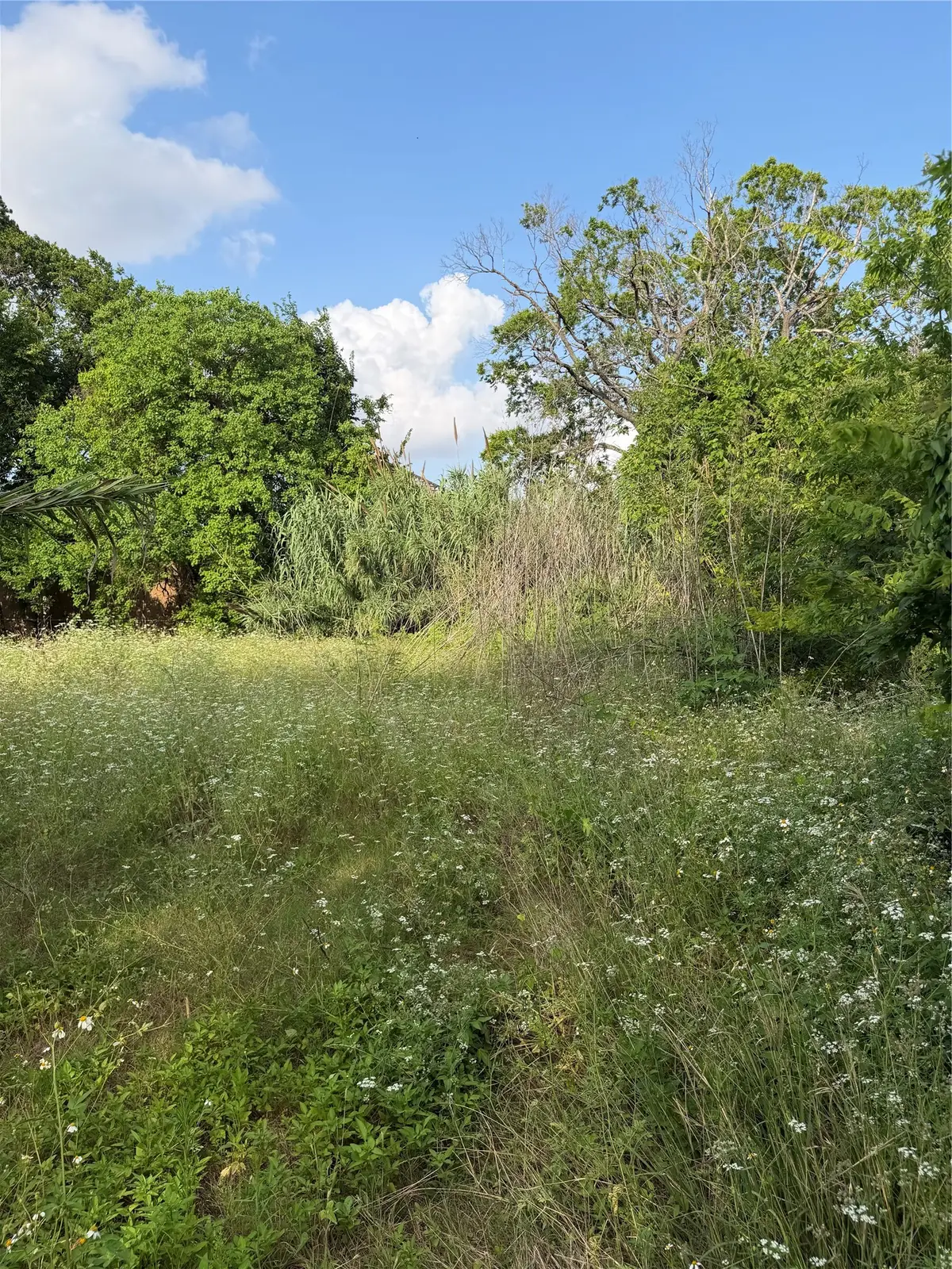 2010 Brackenridge Lot B Street, Houston, TX 77026 - #1