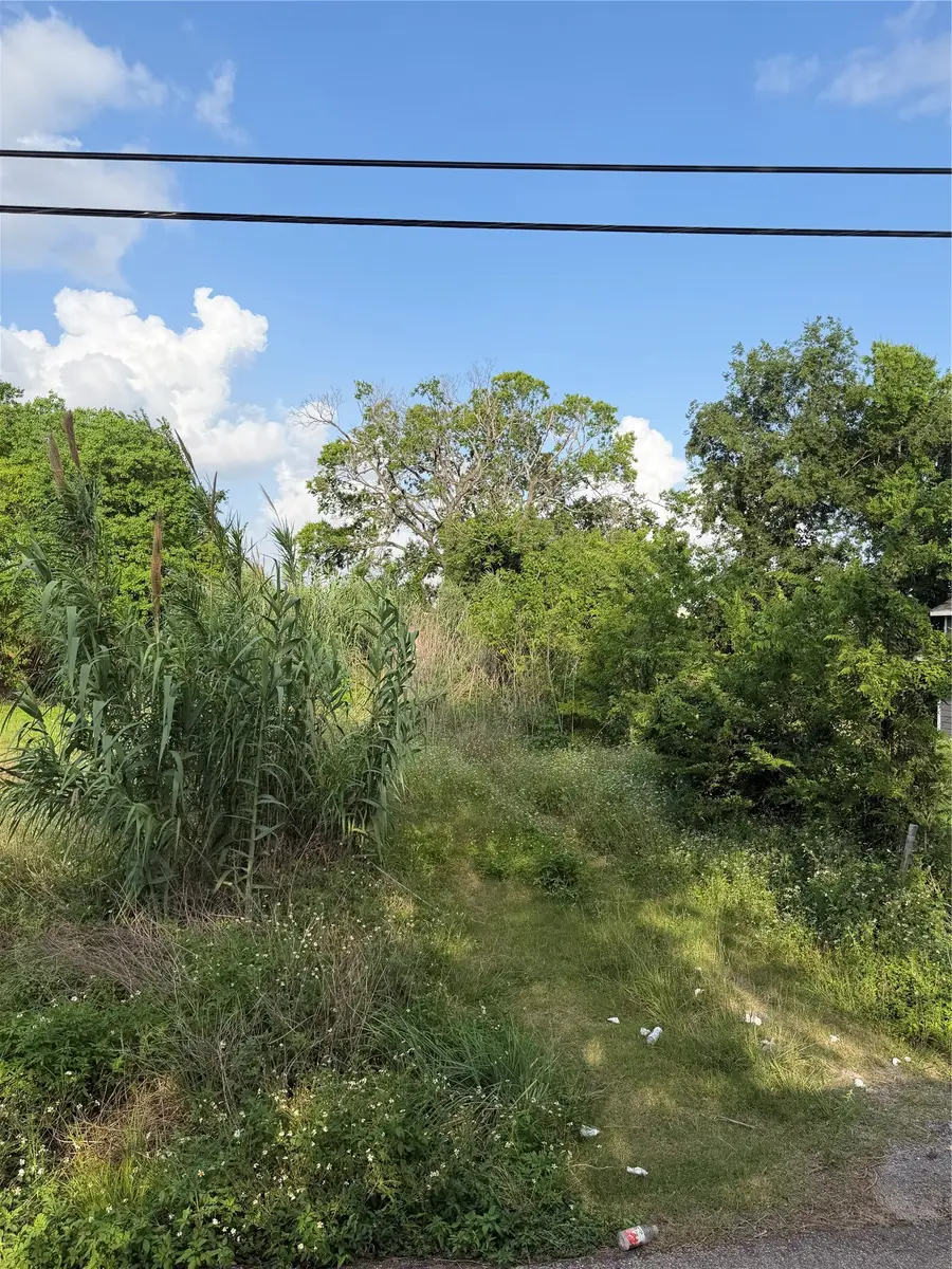 2010 Brackenridge Lot B Street, Houston, TX 77026 - #2