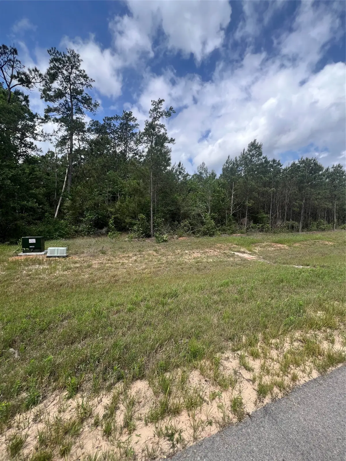 16229 Ridge Oak Road, Willis, TX 77378 - #1