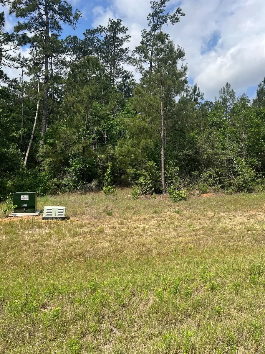16229 Ridge Oak Road, Willis, TX 77378 - #2