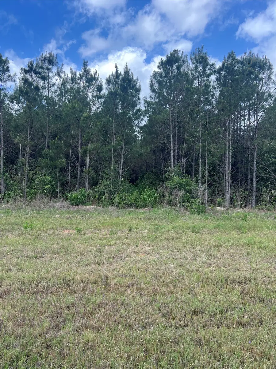 16229 Ridge Oak Road, Willis, TX 77378 - #3