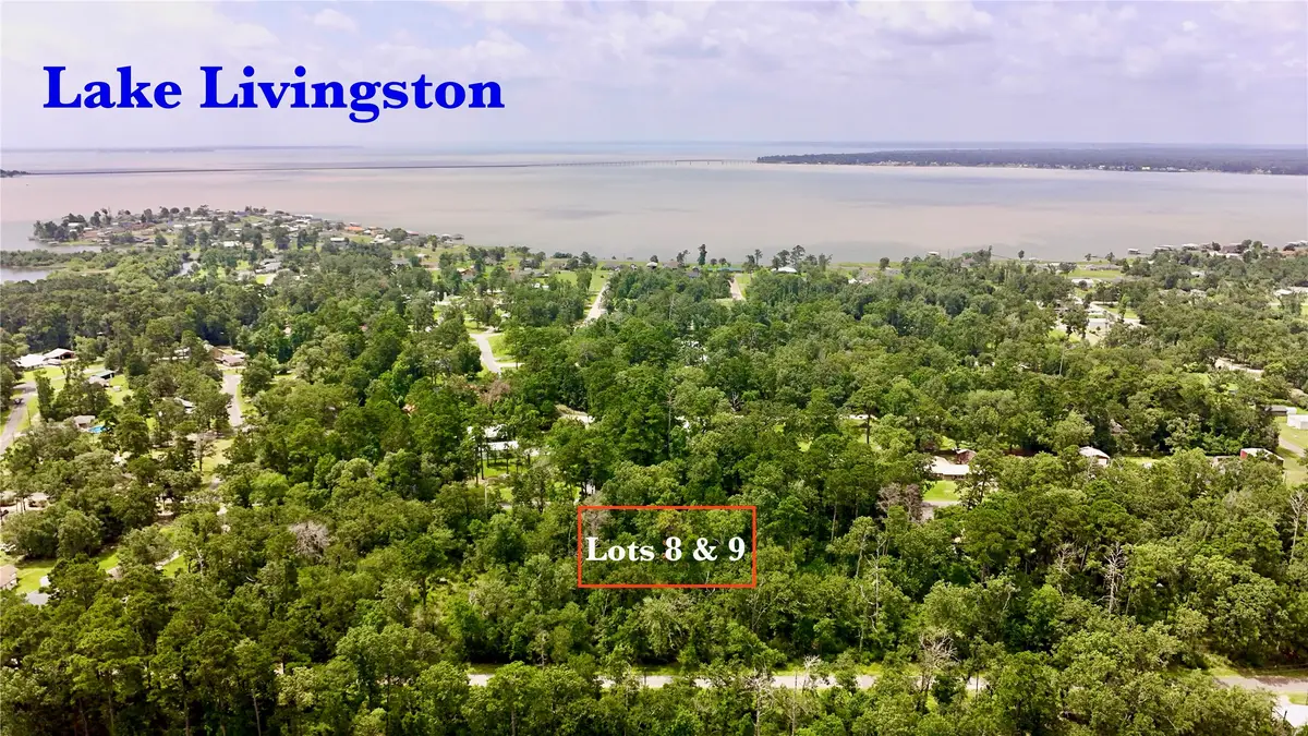TBD China Berry Street, Onalaska, TX 77360 - #1