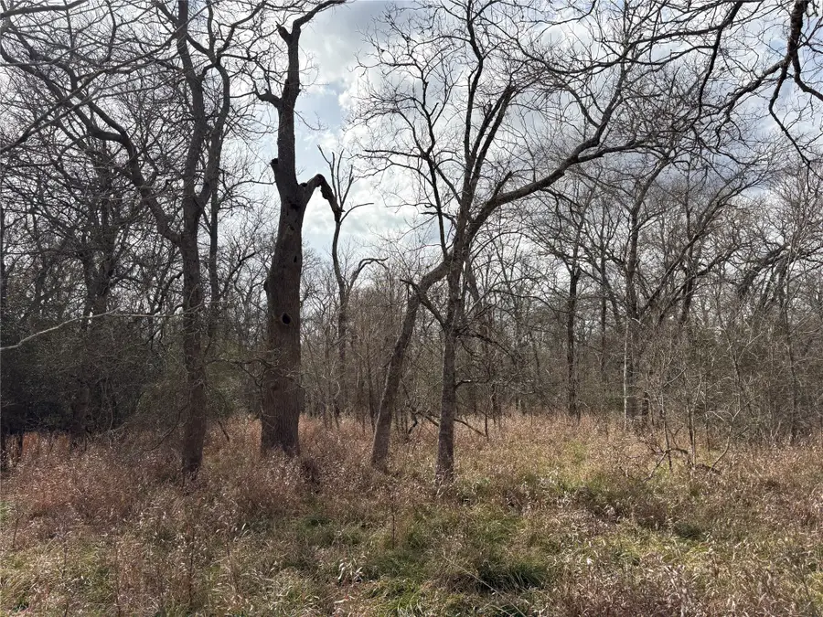 1649 Stone Street, Bedias, TX 77831 - #3