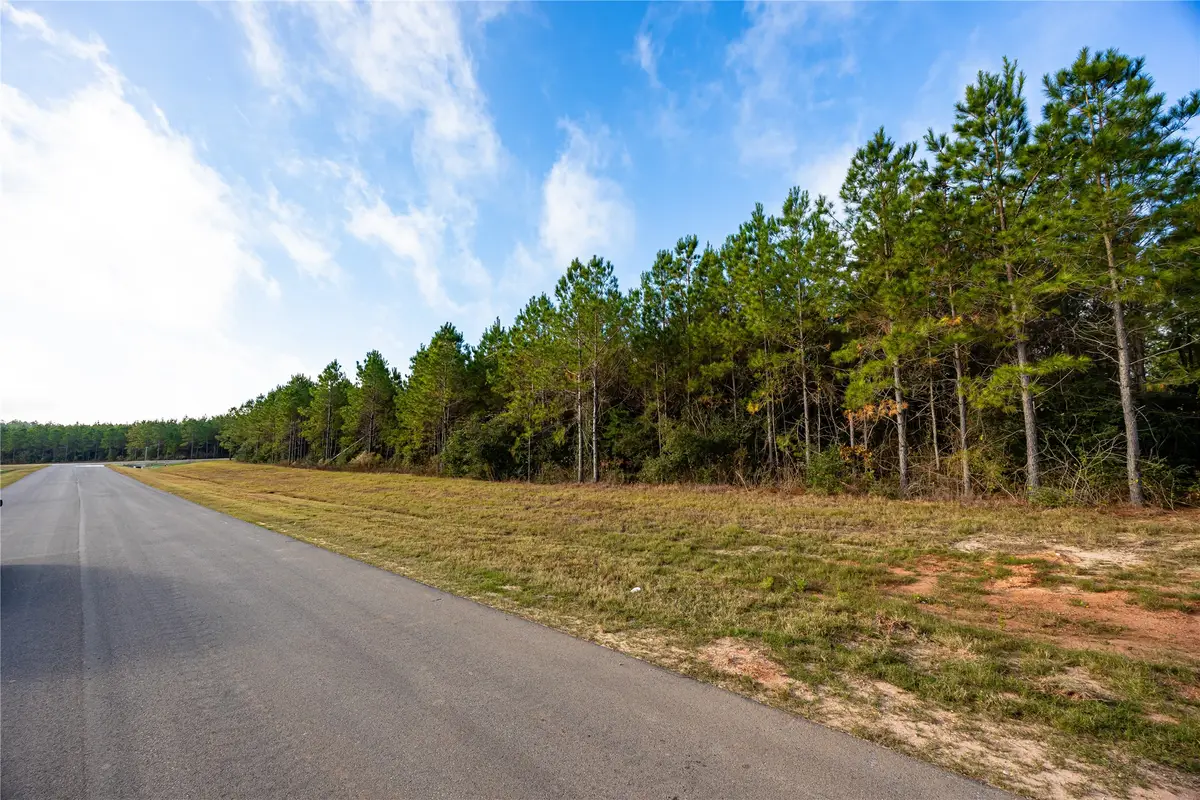 16320 Ridge Oak Road, Willis, TX 77378 - Image #1