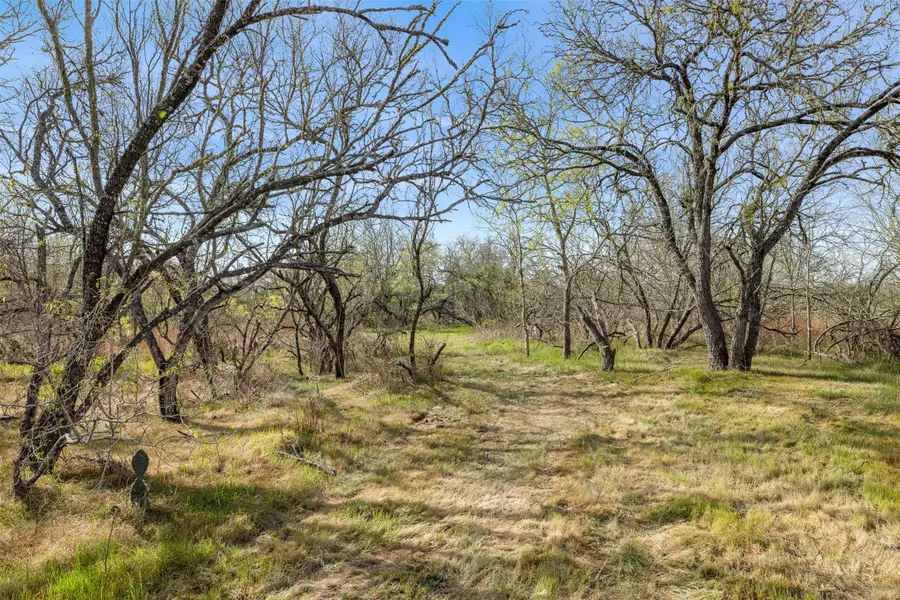 6735 Old Smithville Road, Flatonia, TX 78941 - Image #3
