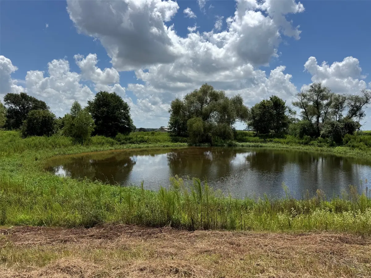 24233 Nine Bar Road, Hempstead, TX 77445 - #1