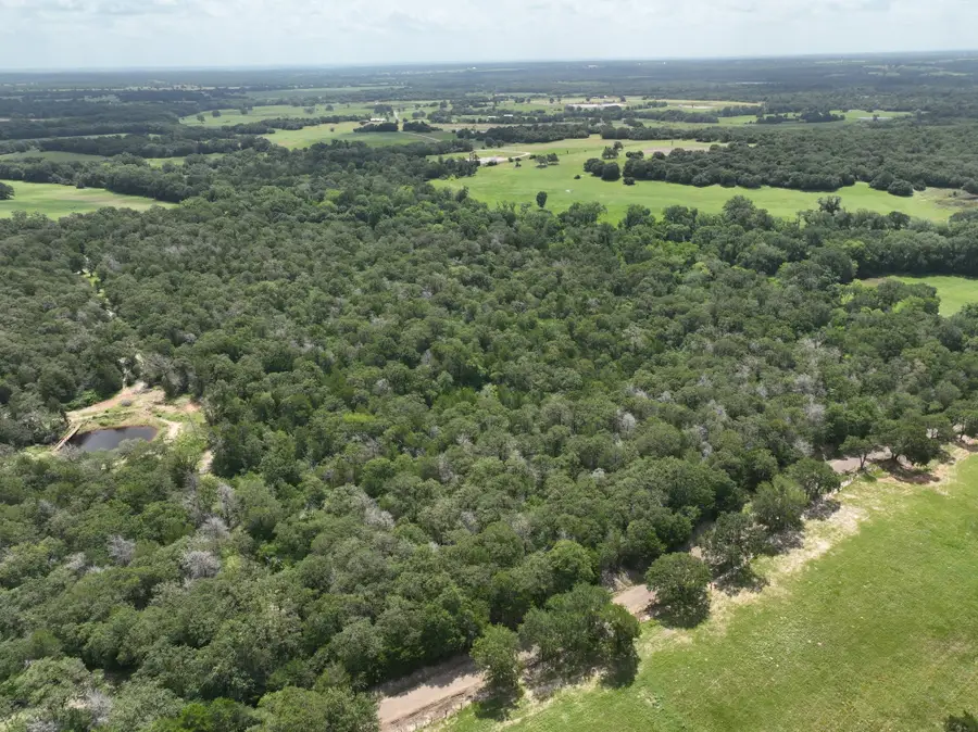 +-15 Acres County Road 333, Caldwell, TX 77836 - #2