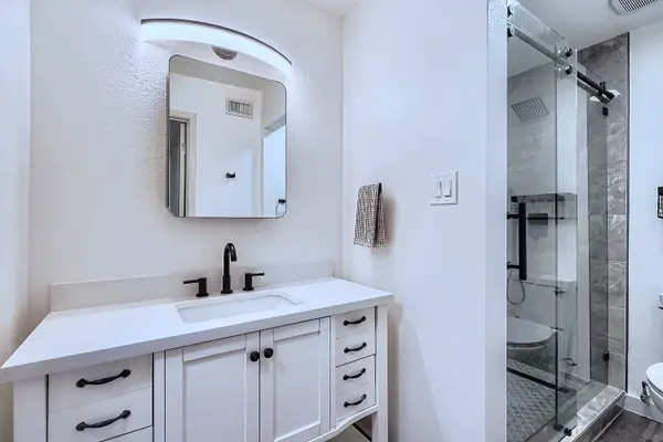 18800 Egret Bay Boulevard #1411, Webster, TX 77058