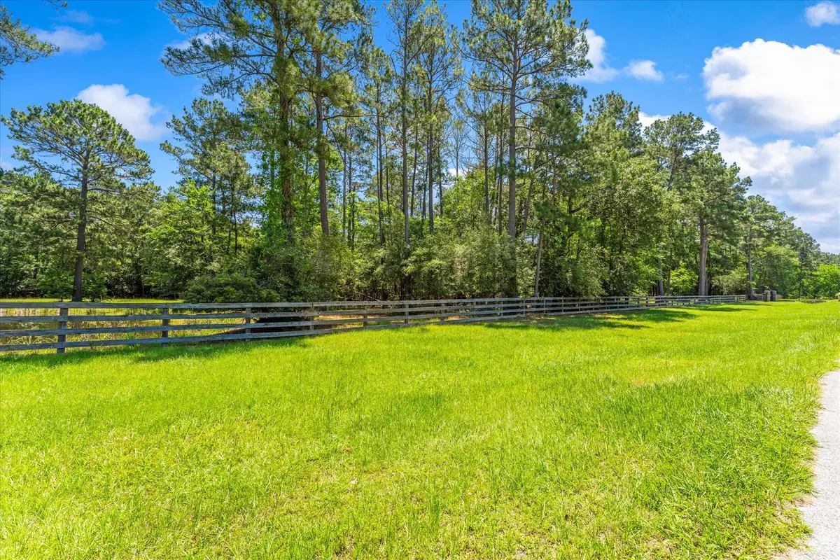 28613 Beth Marie, Magnolia, TX 77355 - #1