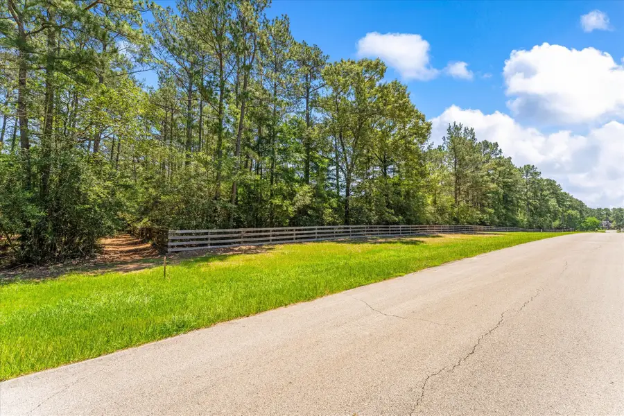 28613 Beth Marie, Magnolia, TX 77355 - #2