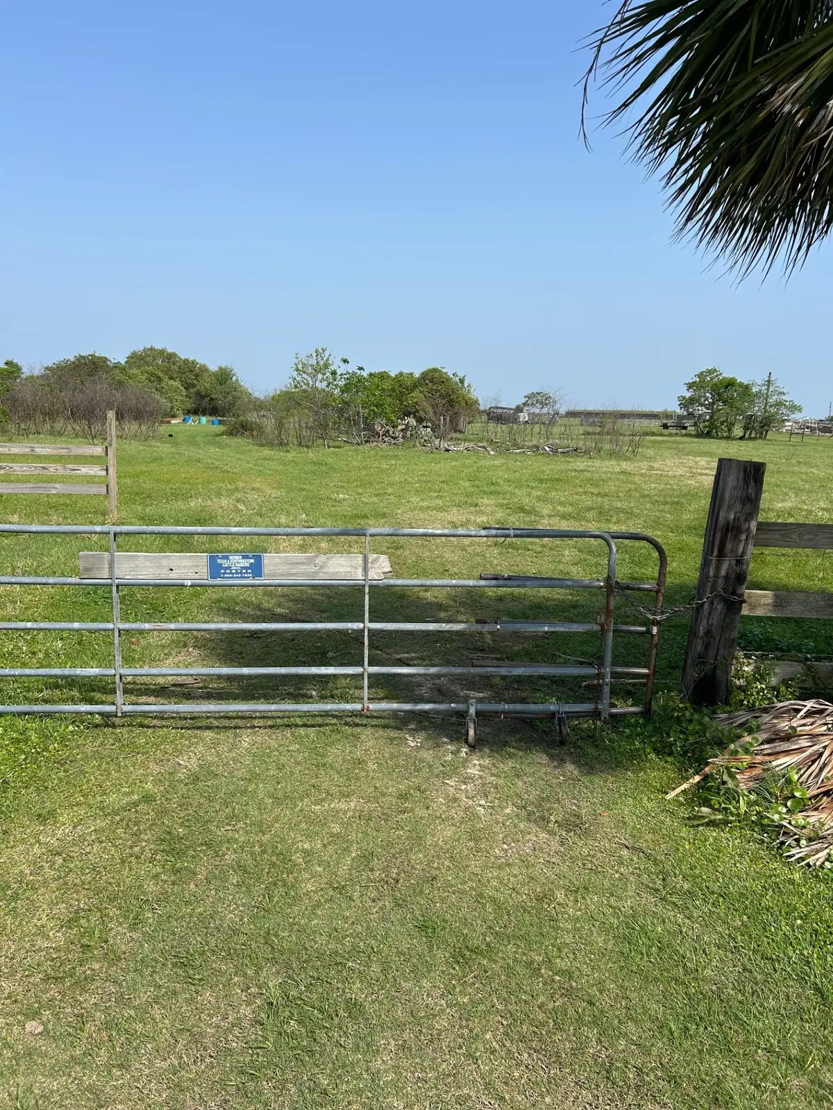 12412 Jenkins Road, Galveston, TX 77554 - #1