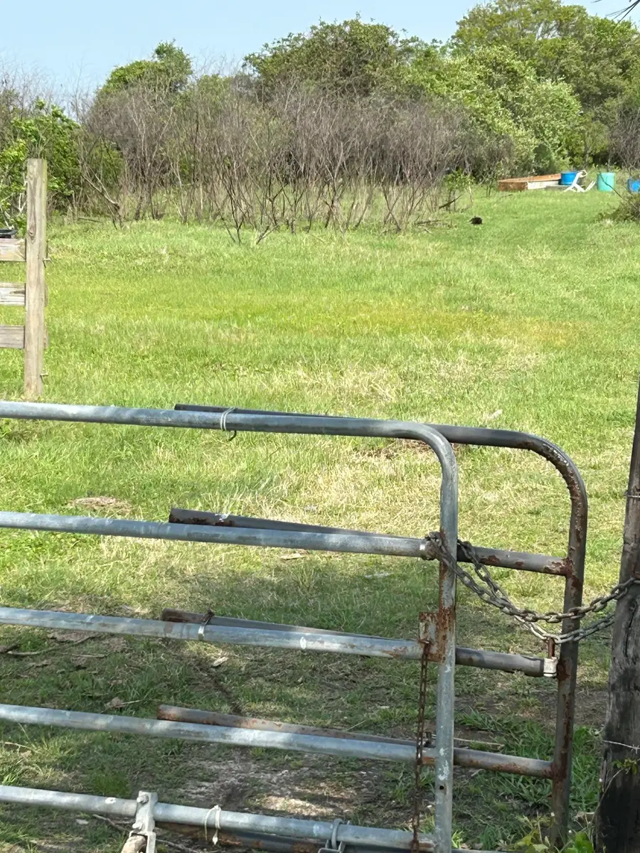 12412 Jenkins Road, Galveston, TX 77554 - #2