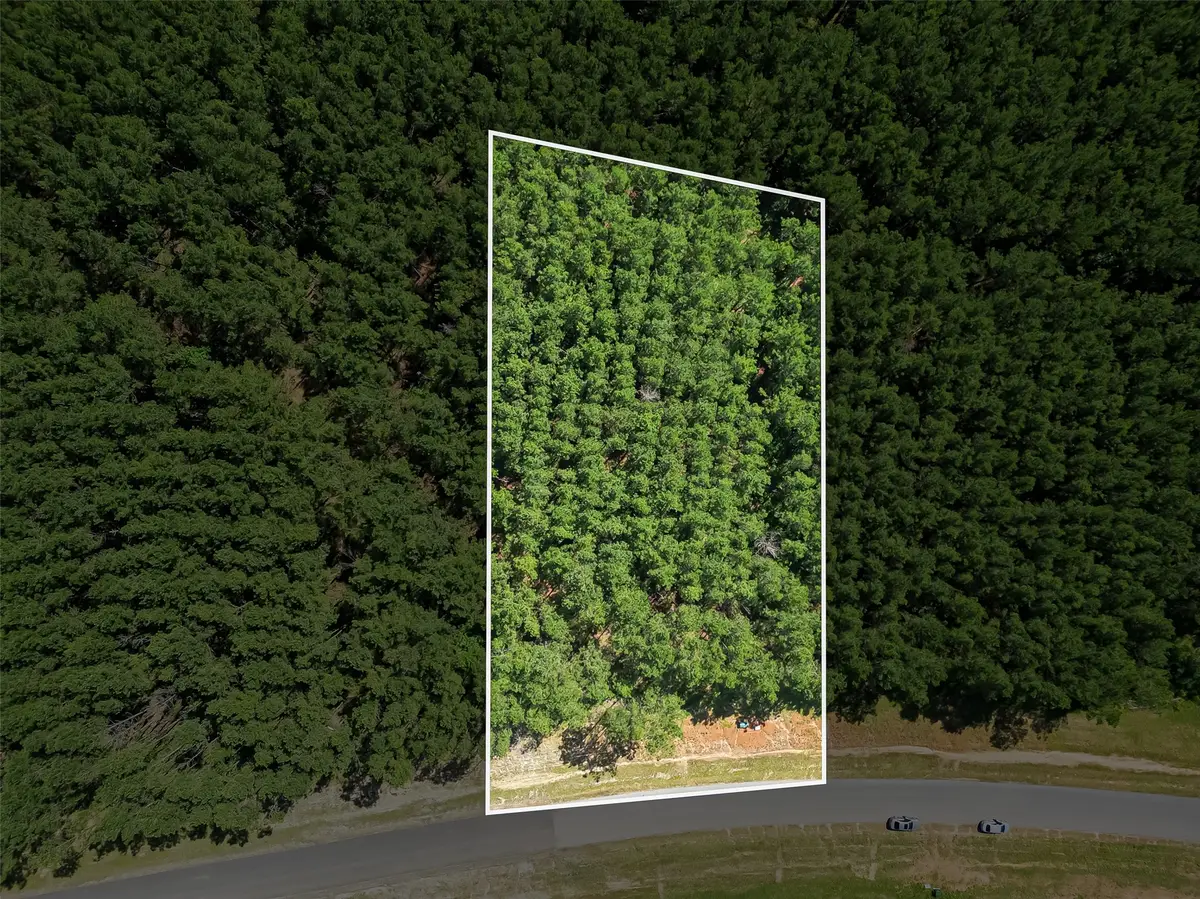 15831 Ridge Oak Road, Willis, TX 77378 - #1