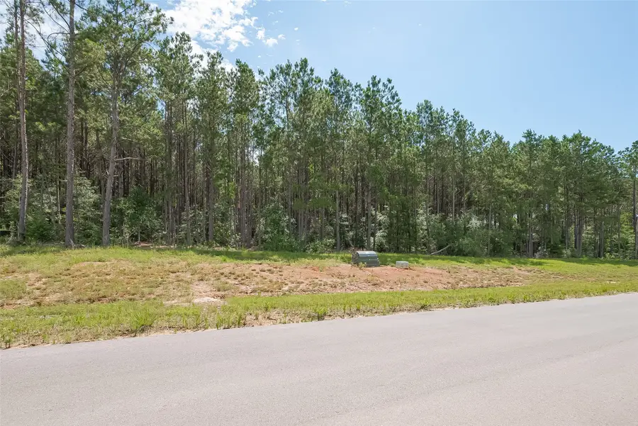 15831 Ridge Oak Road, Willis, TX 77378 - #3