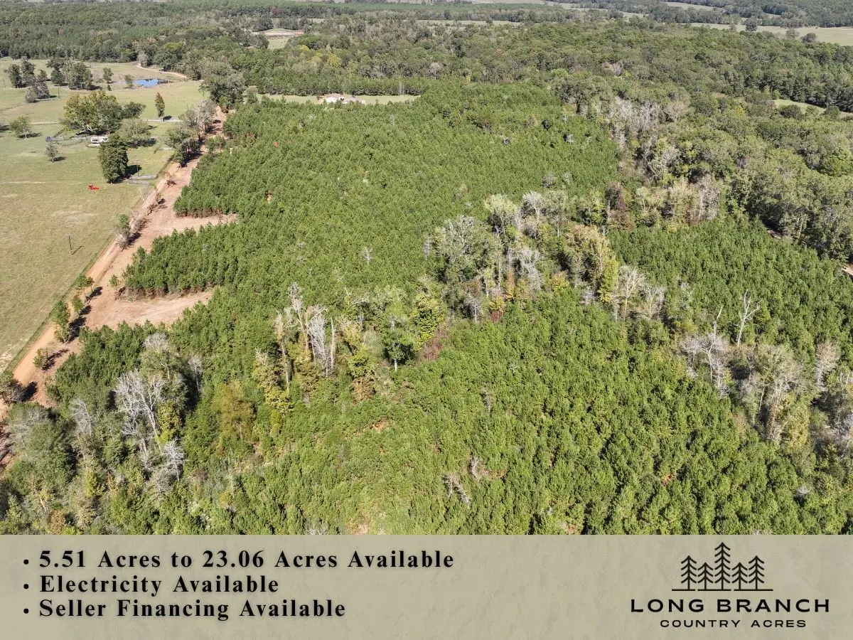8 County Road 3121, Long Branch, TX 75669 - Image #1