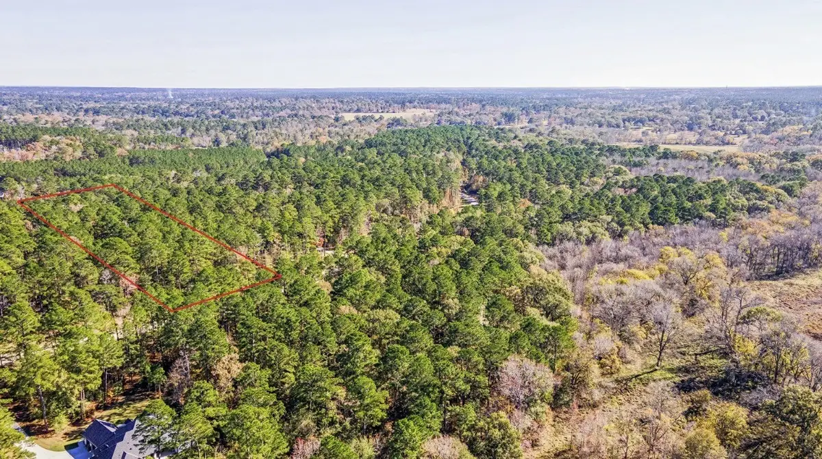 14-36-13 Sandpiper Drive, New Waverly, TX 77358 - Image #1