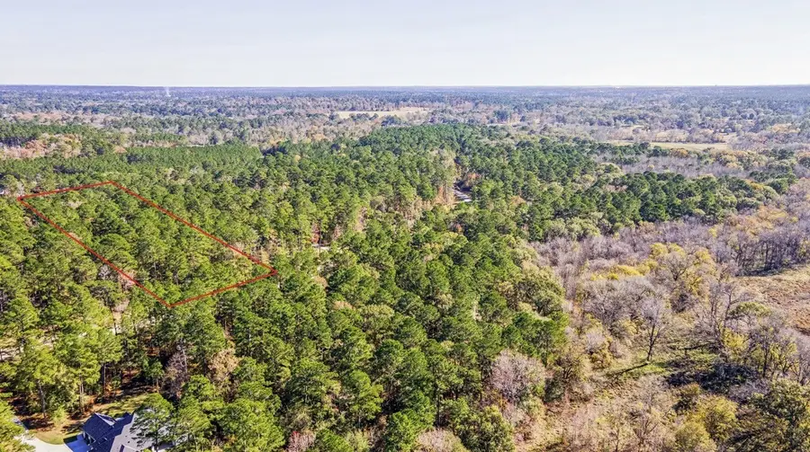 14-36-13 Sandpiper Drive, New Waverly, TX 77358 - Image #3