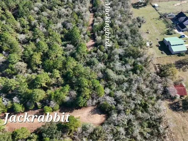 28802 Jackrabbit Drive, Hempstead, TX 77445
