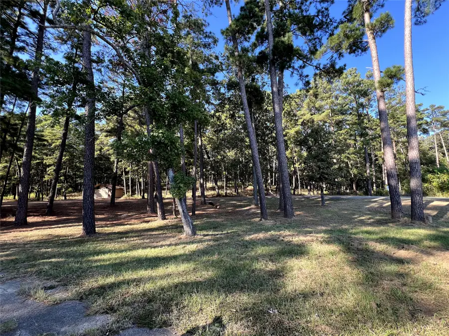 214 County Rd 2940, Shelbyville, TX 75973 - #2