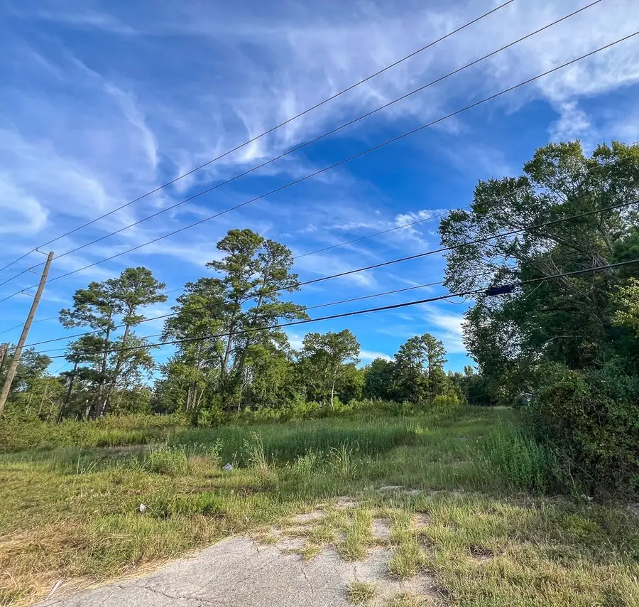 00 State Highway 150, New Waverly, TX 77358 - #3