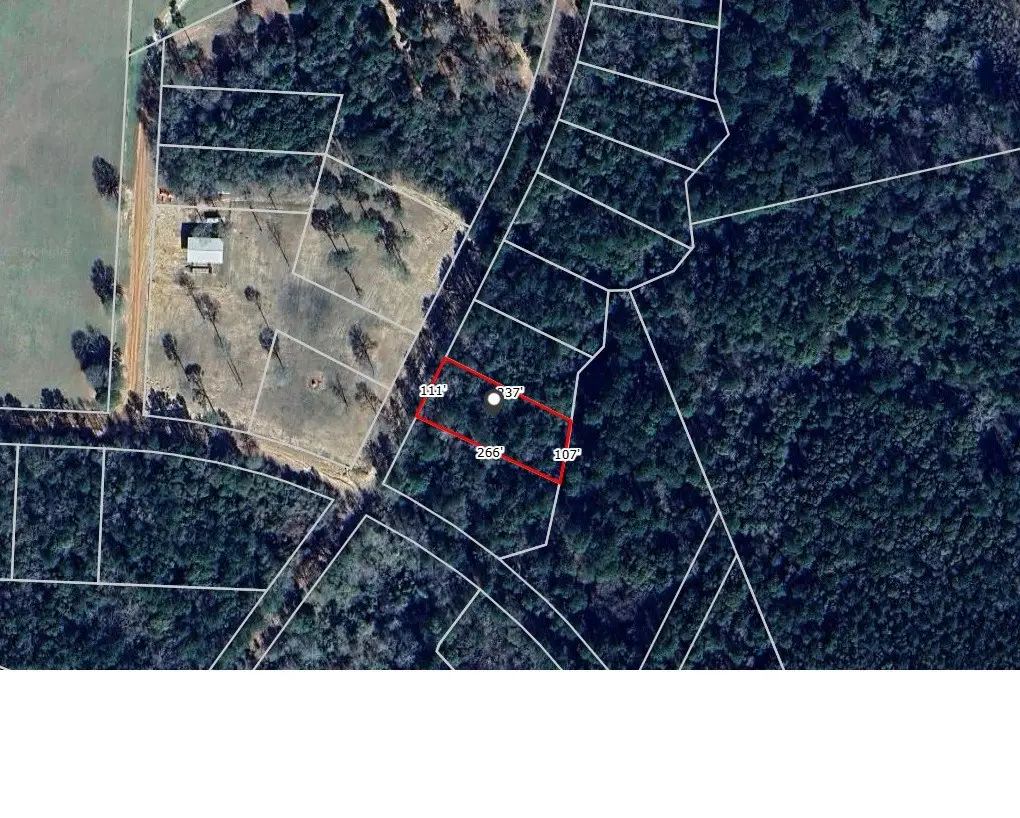 TBD Blakely Lane, Cleveland, TX 77328 - #1