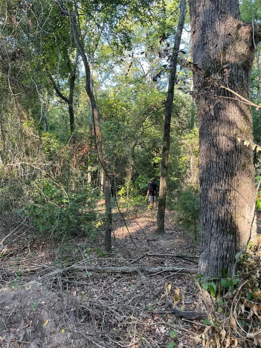 TBD Fm 1469, Marquez, TX 77865 - #2