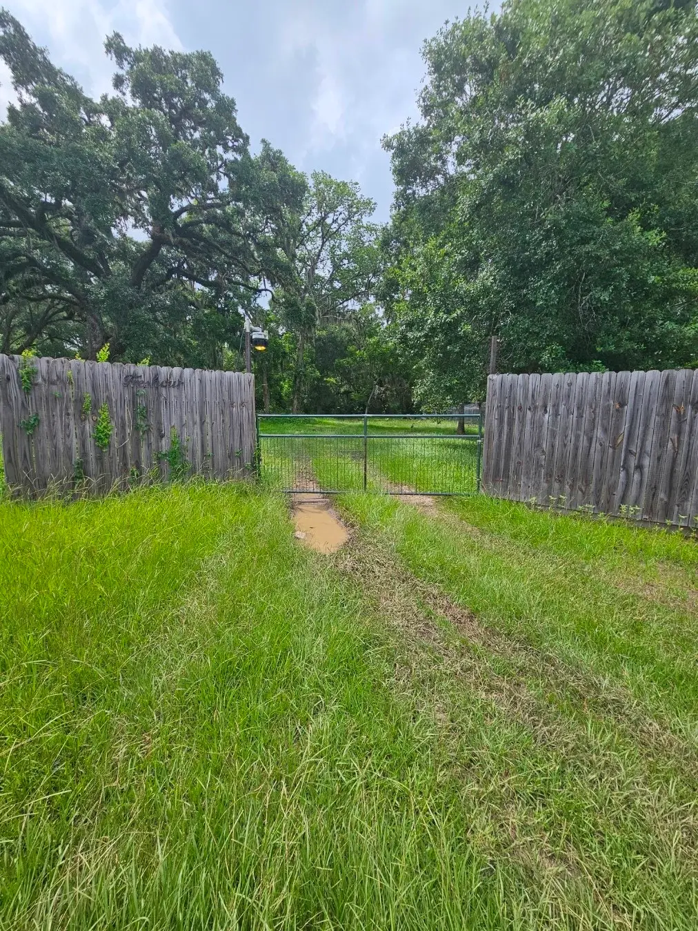19280 Highway 35, Sweeny, TX 77480 - #1