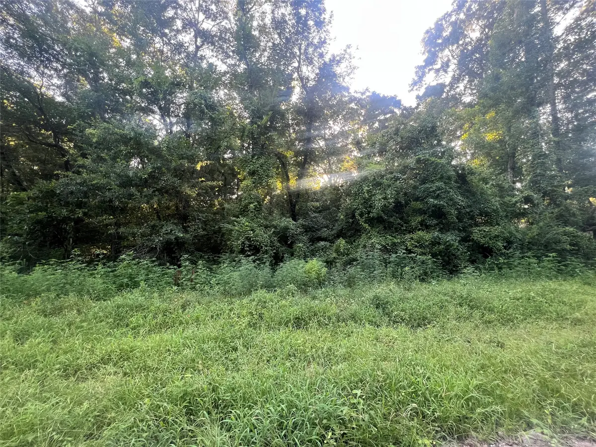 N/A Royal Creek Rd, Conroe, TX 77303 - #1