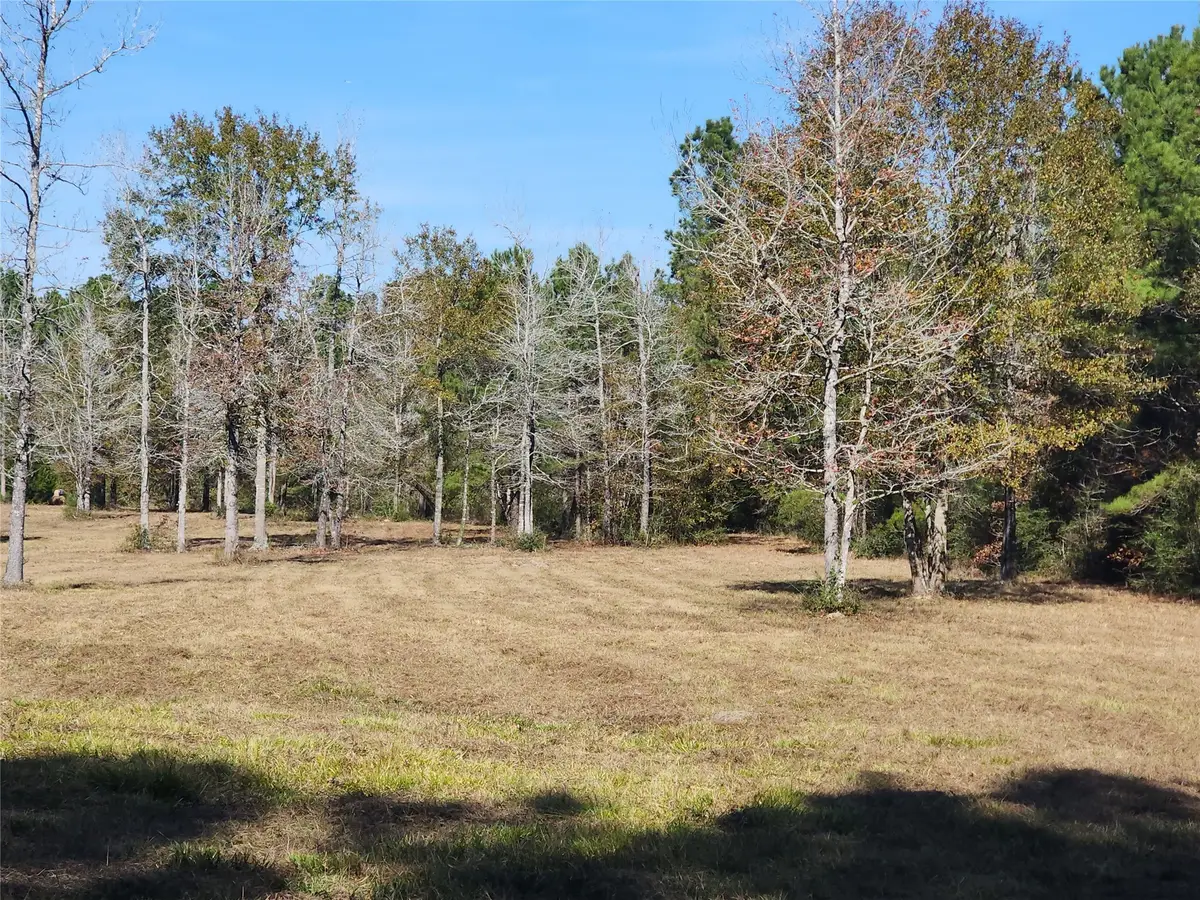 0 Bailey Grove Road, Montgomery, TX 77356 - Image #1