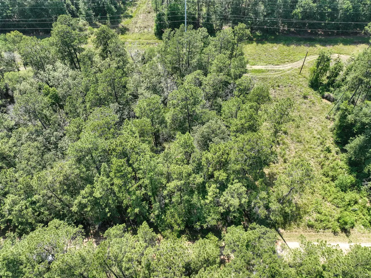 000 Fairway Dr, New Caney, TX 77357 - #1