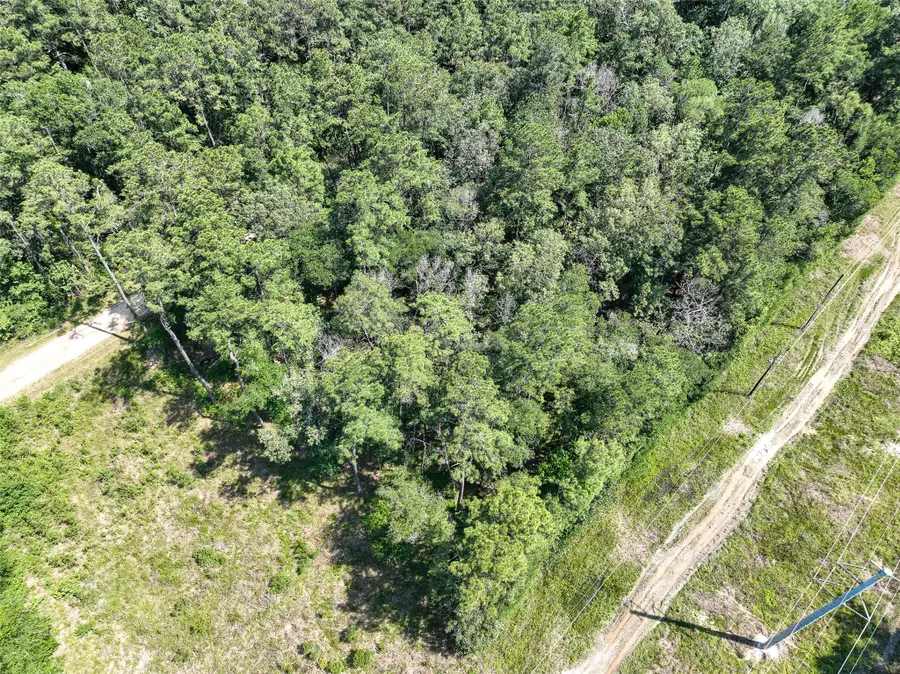 000 Fairway Dr, New Caney, TX 77357 - #3
