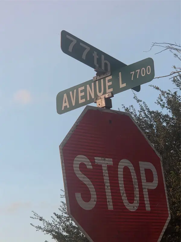 0 Avenue L, Houston, TX 77012