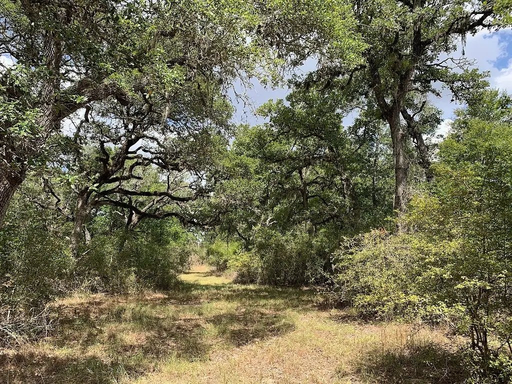 00 Private Road 1581 Road, Hallettsville, TX 77964 - #1