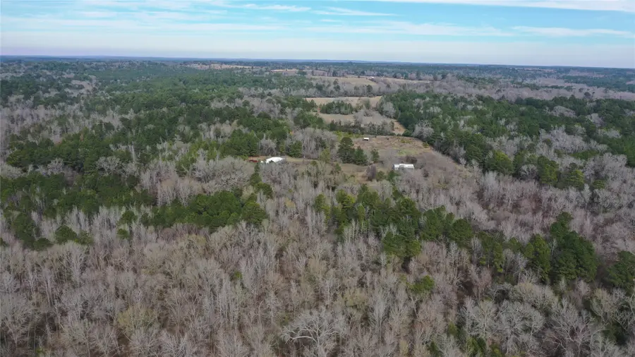 tbdLot 2 County Road 2240, Grapeland, TX 75844 - Image #2