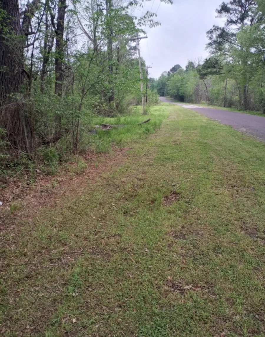 8115 Five Notch Road, Marshall, TX 75672 - #2